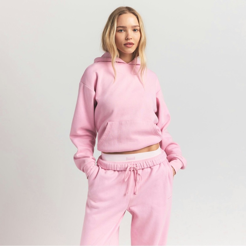 SKIMS Cotton Fleece Classic Hoodie in Halite - Picture 2 of 10
